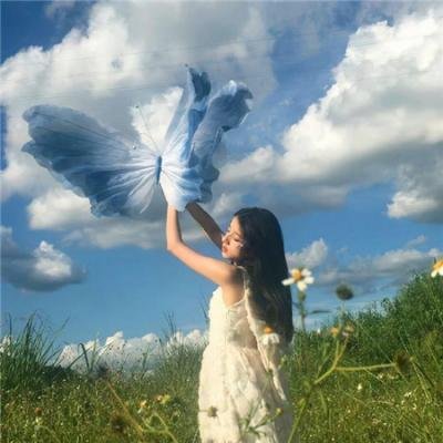 鳄鱼藏尸日记