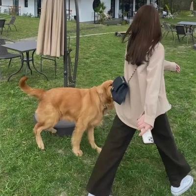 不要先生与好的女士